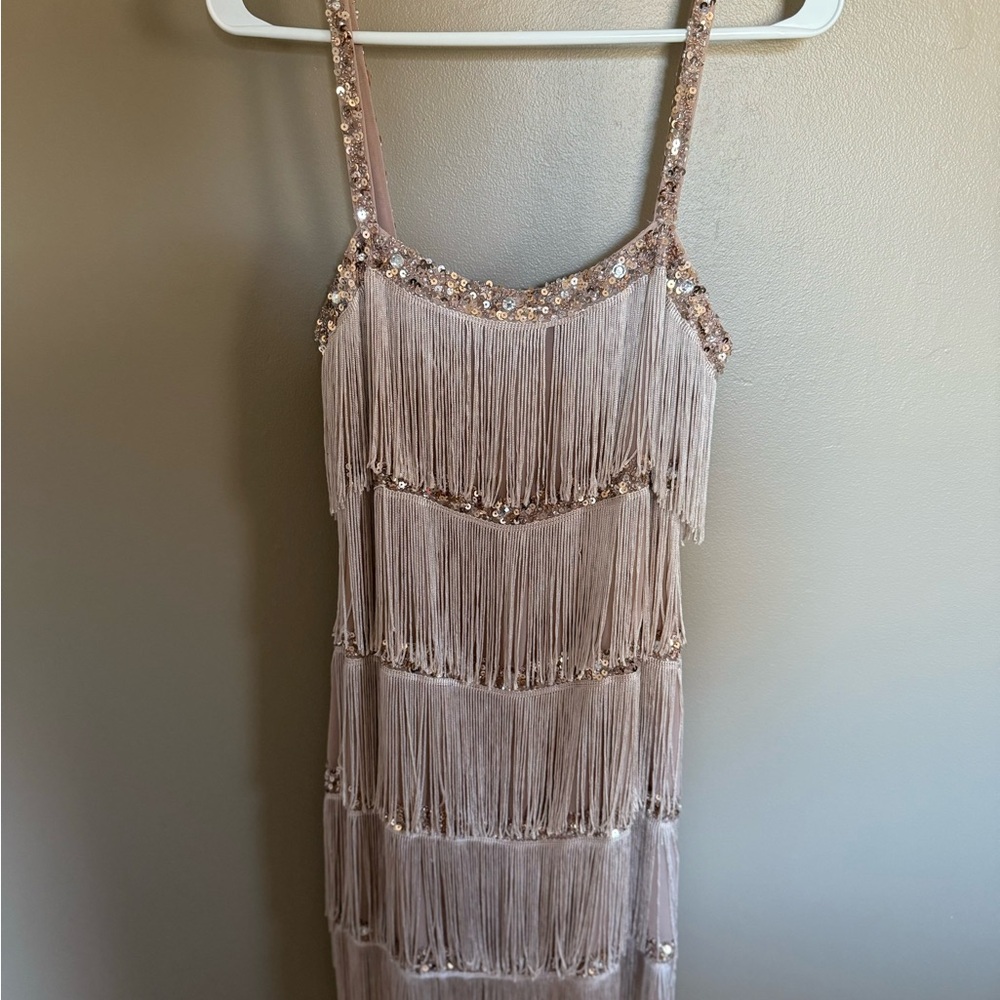 Elegant Beige Fringe Dress